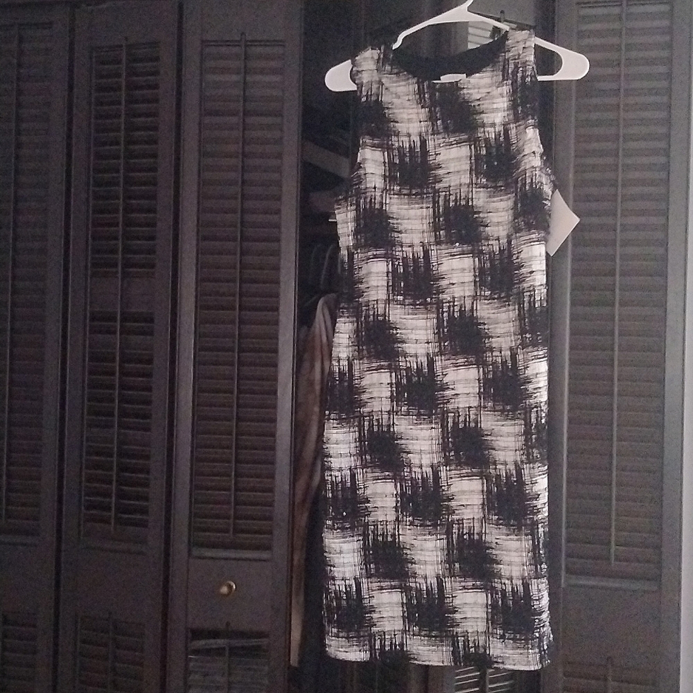 Papillon Blanc size large black and white